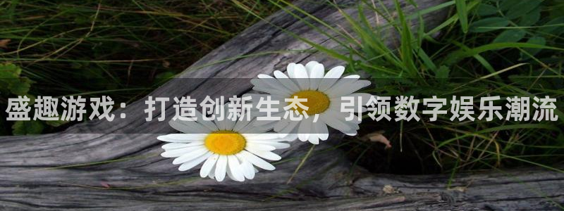蓝冠娱乐app：盛趣游戏：打造创新生态，引领数字娱乐潮流