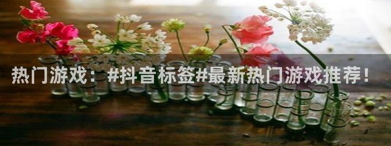 蓝冠娱乐平台注册开户：热门游戏：#抖音标签#最新热门游戏推荐