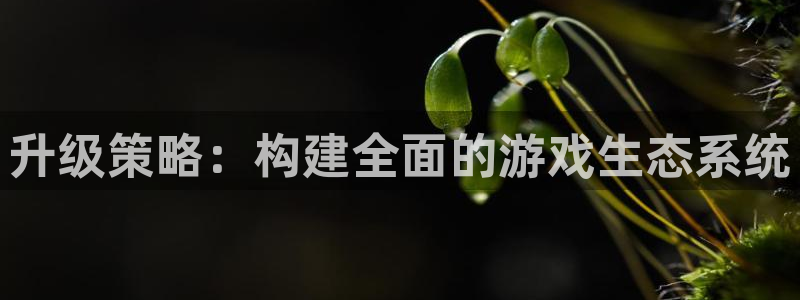 蓝冠娱乐娱乐：升级策略：构建全面的游戏生态系统