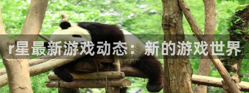 蓝冠娱乐游戏：r星最新游戏动态：新的游戏世界