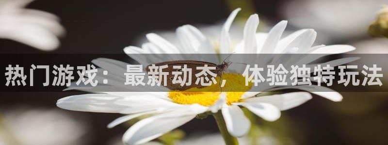 蓝冠娱乐注册：热门游戏：最新动态，体验独特玩法