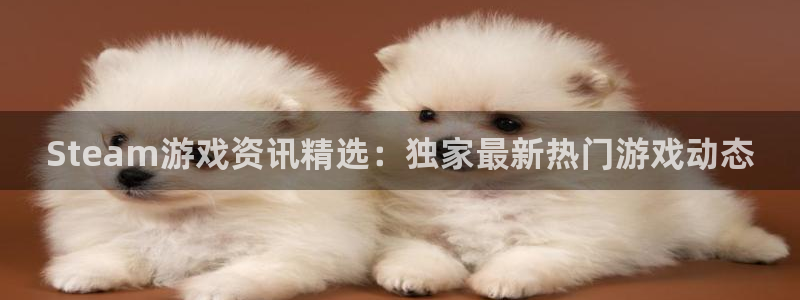 蓝冠娱乐登录地址：Steam游戏资讯精选：独家最新热门游戏动