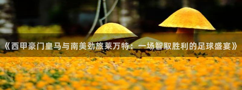 nba视频直播说球帝