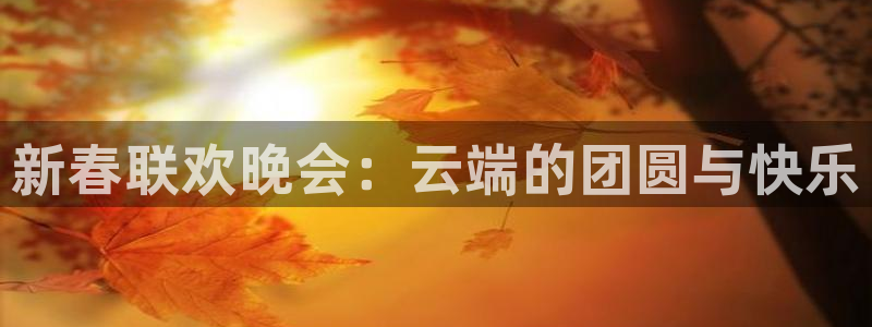 说球帝官网下载：新春联欢晚会：云端的团圆与快乐