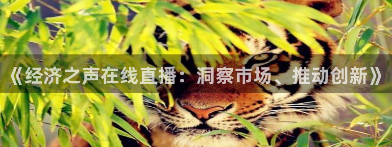 说球帝nba直播在线观看免费下载：《经济之声在线直播：洞察市场、推动创新》