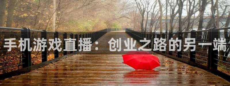 蓝冠娱乐代理登陆：手机游戏直播：创业之路的另一端