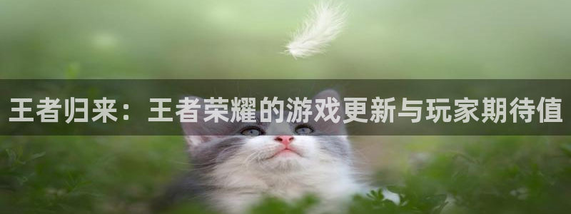 手机版蓝冠娱乐客户端下载：王者归来：王者荣耀的游戏更新与玩家